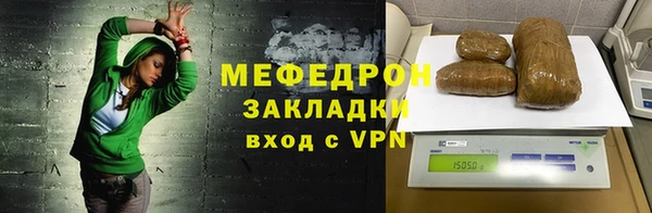 гашик Ельня