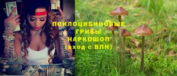 ешки Алексин