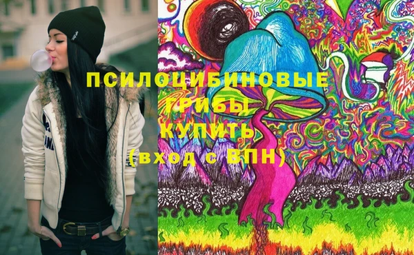 ешки Алексин