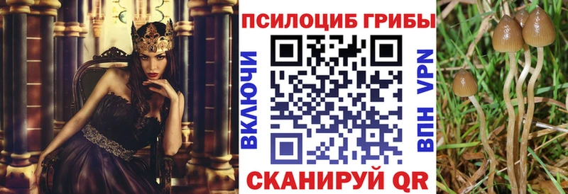 цены   mega tor  Псилоцибиновые грибы Magic Shrooms  Калининск 